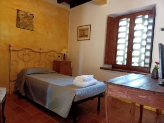 Rovere dalla riva - Arzene - 9