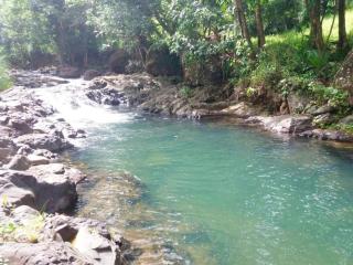 Bungalow charmant à Pointe-Noire avec piscine partagée - 3