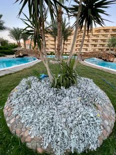 Palma Chalet K134 - 9
