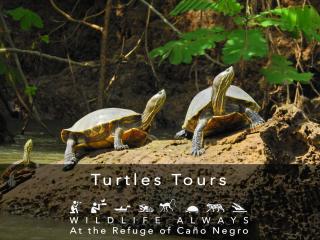 Hotel de Campo Caño Negro - 1