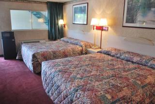 Best Motel Lakeland - Lakeland - 5