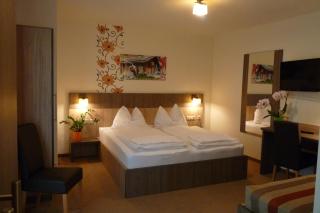Hotel Alta Vista - Neukirchen am Großvenediger - 9