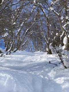 Magnifique T3 au Pla D Adet (Saint Lary)grand confort entièrement refait à neuf avec une vue exceptionnelle sur la vallée - 5