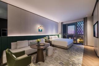 Novotel Xian Xixian西安西咸诺富特酒店 - 3