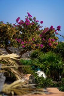 Residenza Venus Dream - Pantelleria - 9