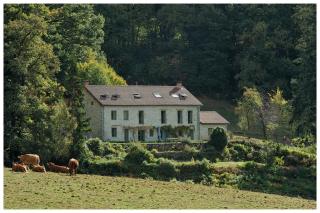 Chambre d'hôtes Chalendeix - Nedde - 9