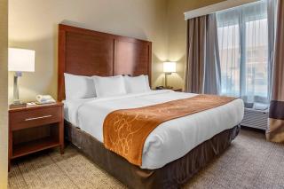 Comfort Suites Jonesboro University Area - Jonesboro - 1