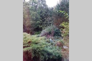 Chez maya - Erquinghem-Lys - 5