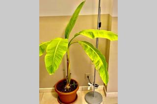 Appartamento cozy in super centro! - 7