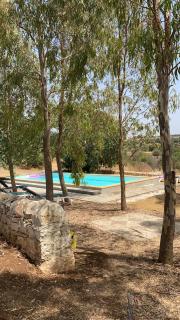 Tenuta Cammarana - 1