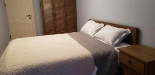 Apartment - 200 m Near Central Park - Tbilisi - 7