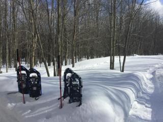 Au Gré Du Temps - Gîte B&B - 7