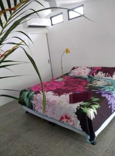 Daintree Beach Studio - BEACH FRONT ACCOMMODATION - 3