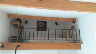 Maison avec jardin et vue - Le Pont du Loup 06 - Gourdon - 2