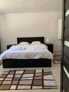 Casa Antonia Busteni - Buşteni - 8