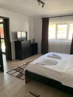 Casa Antonia Busteni - Buşteni - 2