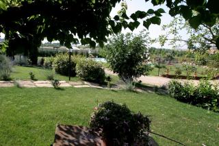 Agriturismo Renaccino - Siena - 8
