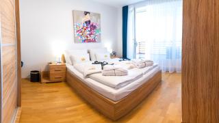 Bella Mura Blue Apartment - Moravske Toplice - 8