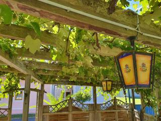 Gasthof Zum Wallner - Kalch - 4