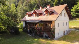 House Alpine Rose - Mojstrana - 4