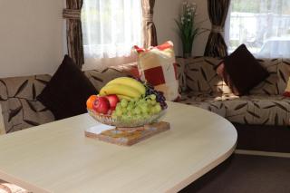 Palm 2 Park Home With Hot Tub - 1