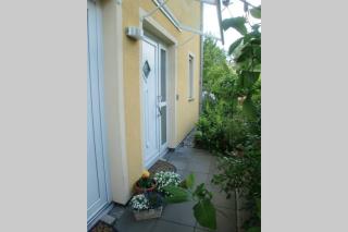 Oase im Dresdner Westen - 2