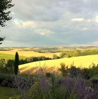 Magnifique grand gîte entier avec piscine et vue - Lézat-sur-Lèze - 8