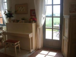 Magnifique grand gîte entier avec piscine et vue - Lézat-sur-Lèze - 3
