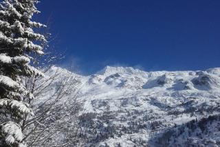 Rustic & A Chalet 'Le Sert du Grey - Vaujany - Vaujany - 8
