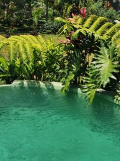 Omati Lodge - Taravao - 7