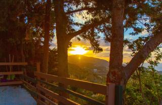 Olenia Residence - 2