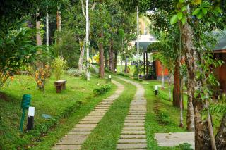 Room in Guest room - LakeRose Wayanad Resort - Superior lake view - Kalpetta - 3