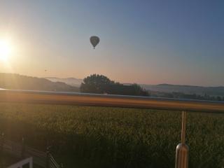 HAUS SONBERG mit Garten, Pool, Fasssauna, semi detached house with garden - 7