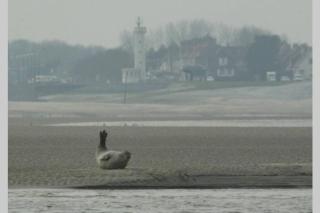 Maison favieres baie de Somme - 4