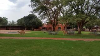 Sondela Nature Reserve & Spa Makhato Lodges - 1
