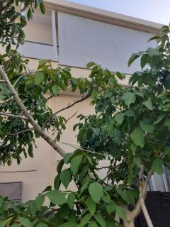 House escape - Chania - 9