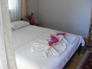Eucalyptus Pension - Patara - 7