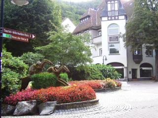 Harzburger Ferienwohnung - Bad Harzburg - 5