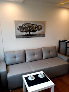 Apartment Vanilla Belgrade - Belgrado - 9