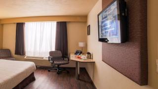 Holiday Inn Orizaba by IHG - Orizaba - 5