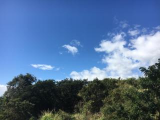 croix sud T2 rdc terrasses jardinet 56m2 - 4