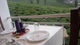 Monsoon Grande - Munnar - 8