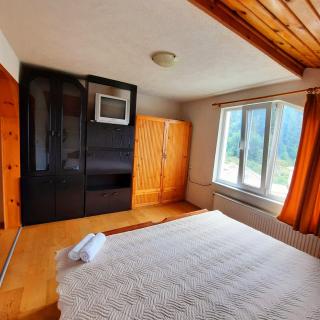 Guesthouse Classic - Dospat - 4