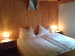 Gasthof Ochsalm - Kirchberg in Tirol - 4