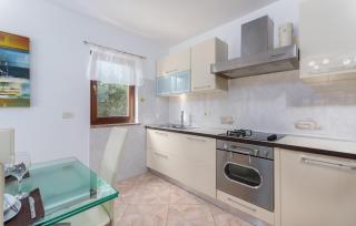 Villa Lucas - Novigrad - 5