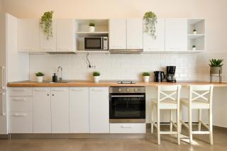 Classy Comfort - Chic Studio on Regina Elisabeta - Bucarest - 2