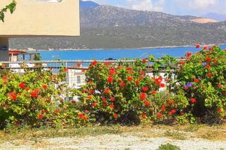 Summer aura - seaside place - Istron - 3