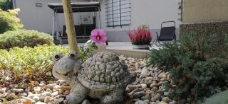 RIKI'S APARTMENT-ZAGREB - 6