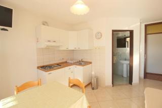 MONIKA 2 pax - Novigrad Istria - 4