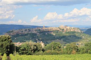 Agriturismo Borgo Pirolino - Orvieto - 0